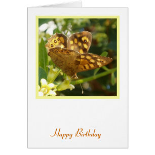 Butterfly Birthday Card