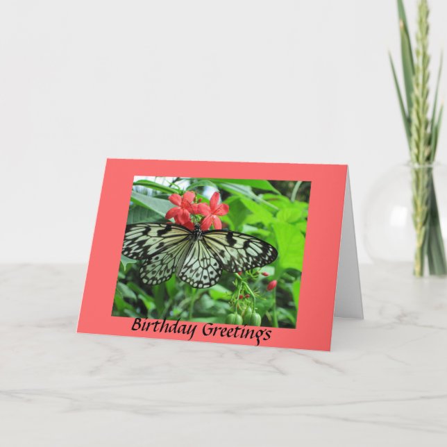 Butterfly Birthday Card (Front)