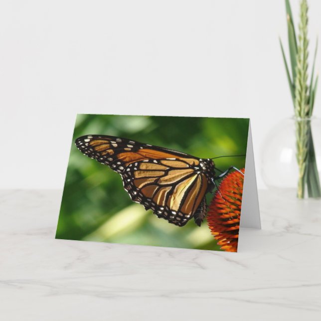Butterfly Blank card (Front)