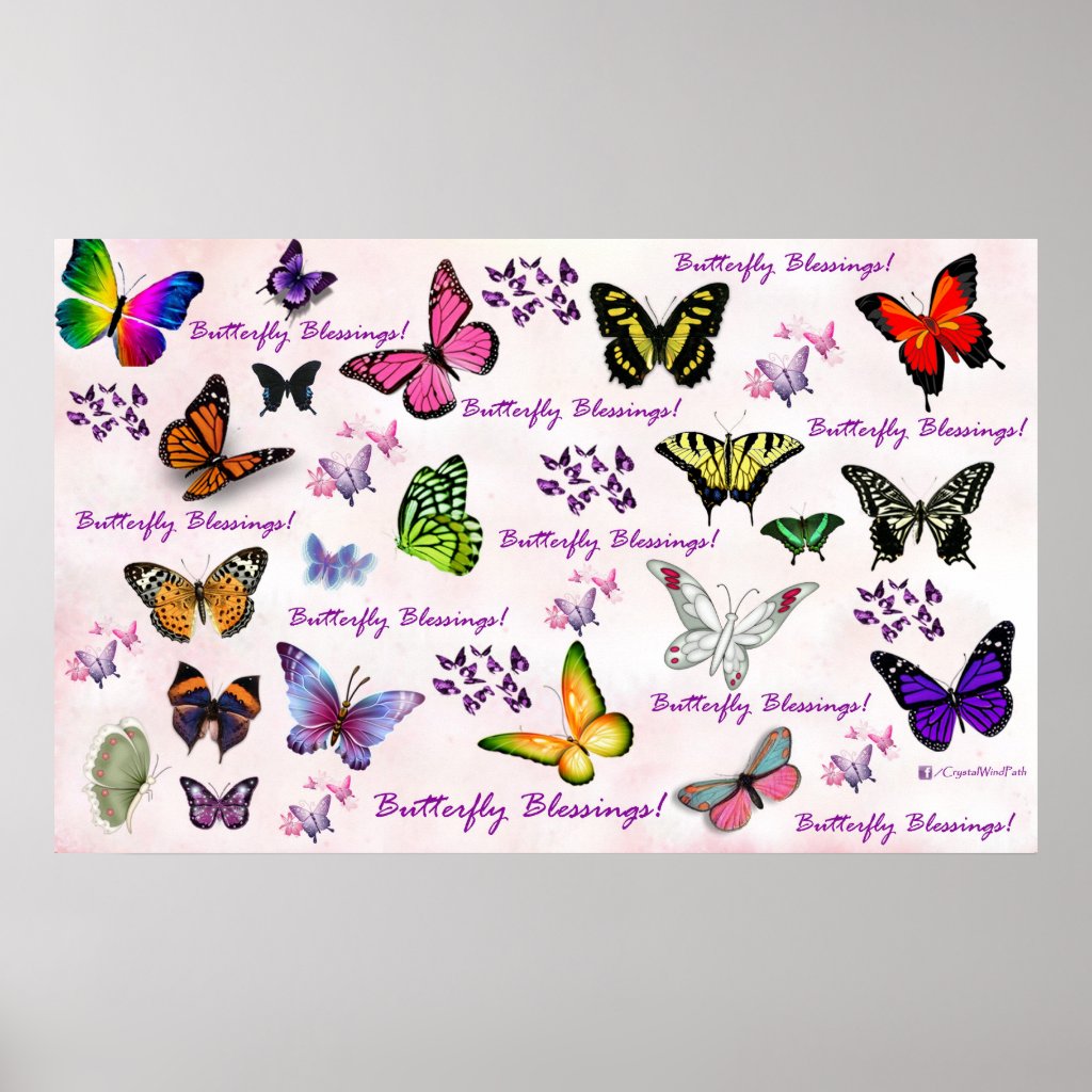 Butterflies Winged Spiritual Messengers Animal Spirit & Medicine