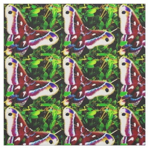 Butterfly Blues Fabric