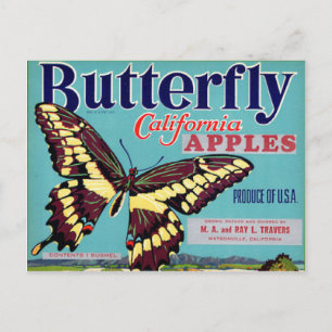 Butterfly Brand Postcard