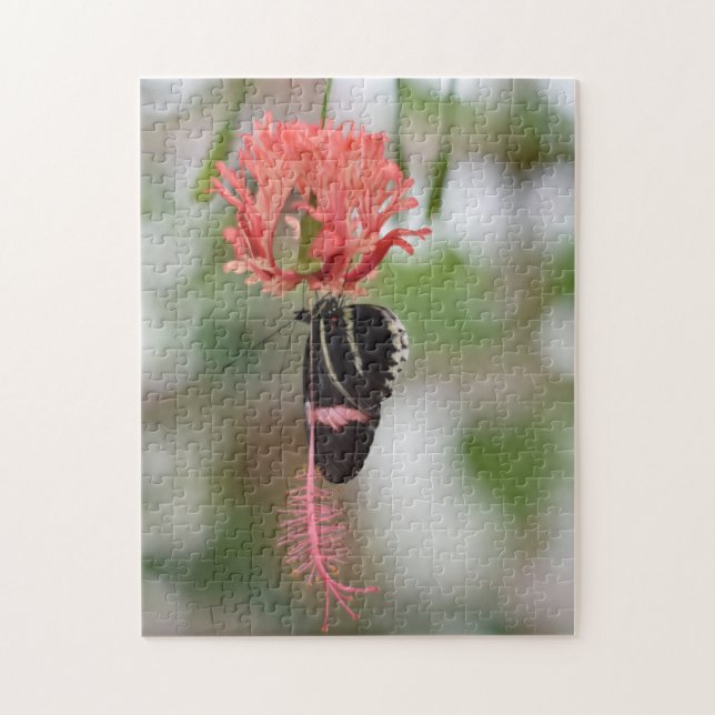 Butterfly Butterflies Nature Photography Garden Jigsaw Puzzle (Vertical)