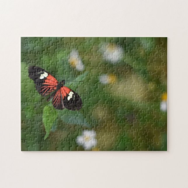 Butterfly Butterflies Nature Photography Garden Jigsaw Puzzle (Horizontal)