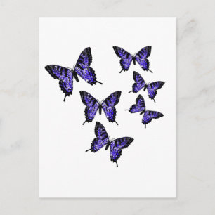 Butterfly Butterflies Postcard