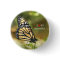 Butterfly Buttons To Wear