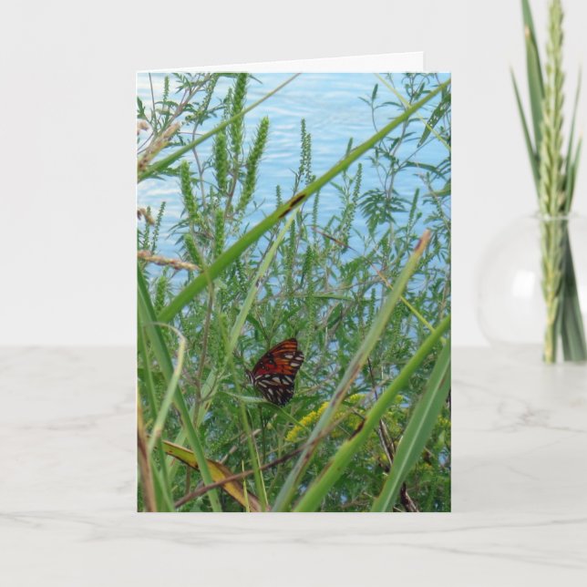 Butterfly by the River Card (Front)