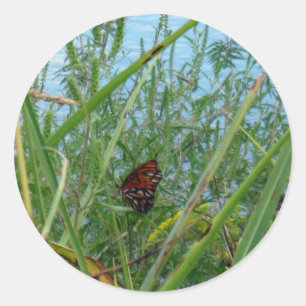 Butterfly by the River Classic Round Sticker