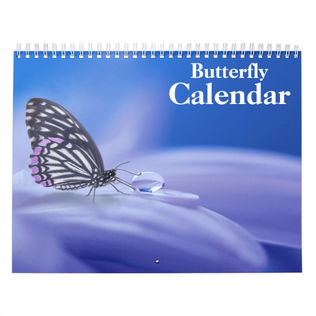 Butterfly Calendar (Cover)
