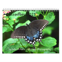 Butterfly Calendar 2023