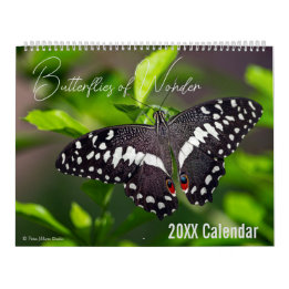 Butterfly Calendar Pick Your Start Month / Year