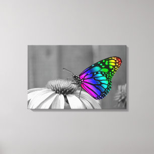 Butterfly Canvas Print