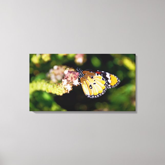 Butterfly Canvas Print (Front)
