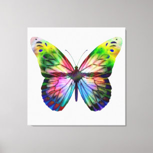 Butterfly Canvas Print