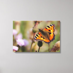 Butterfly Canvas Print