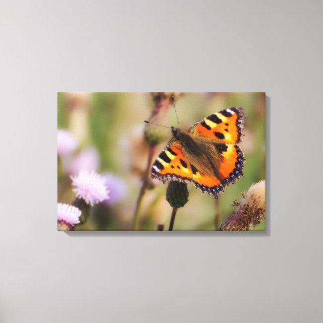 Butterfly Canvas Print (Front)