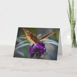 Butterfly, card