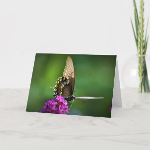 Butterfly, card