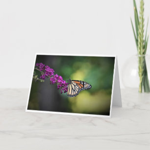 Butterfly, card