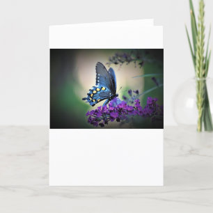 Butterfly, card