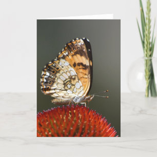 Butterfly, card