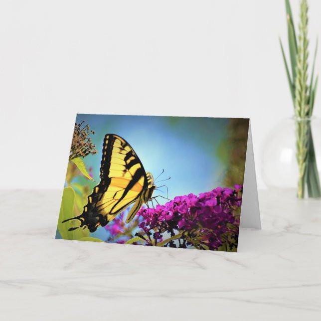 Butterfly, card (Front)