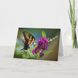 Butterfly, card