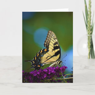 Butterfly, card