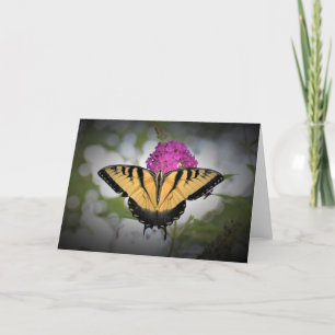 Butterfly, card
