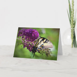 Butterfly, card