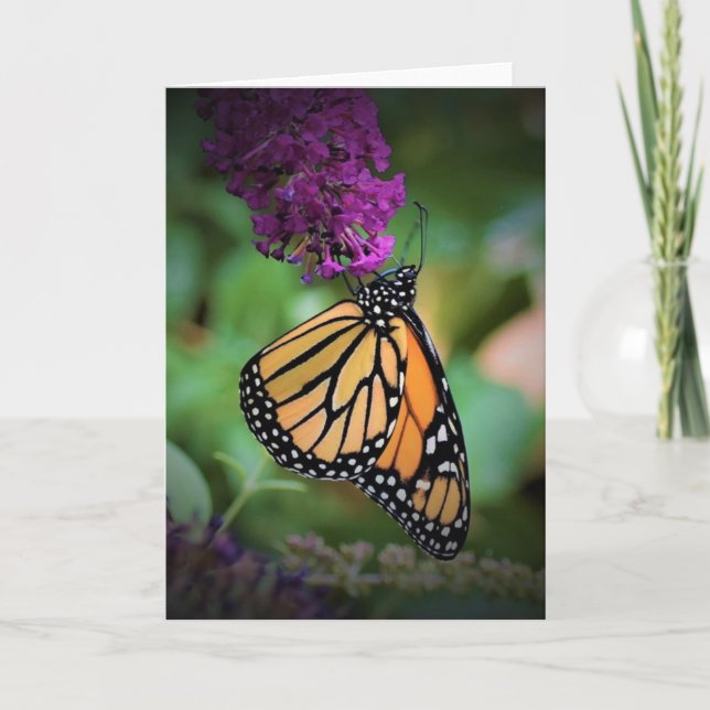 Butterfly, card (Front)