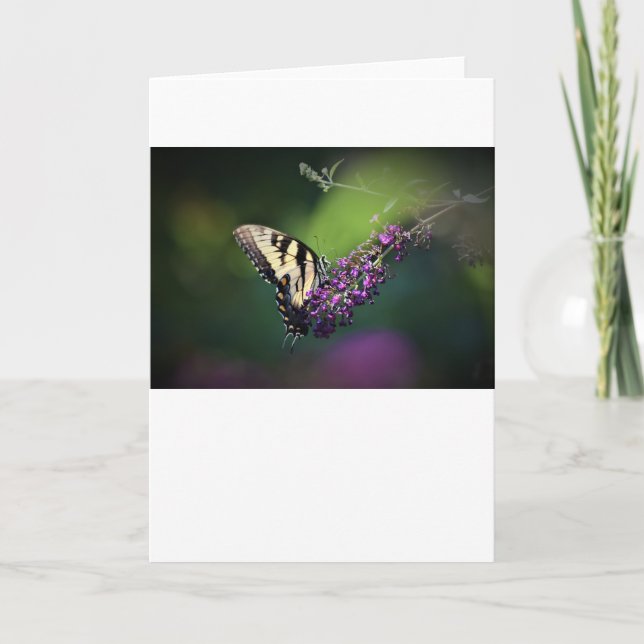 Butterfly, card (Front)