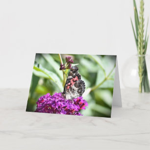 Butterfly, card
