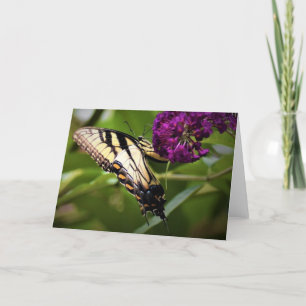 Butterfly, card