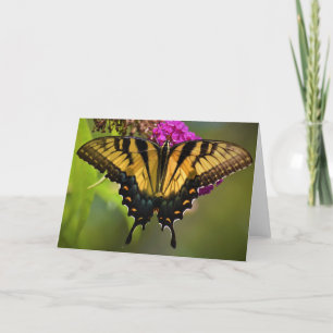 Butterfly, card