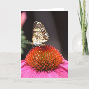 Butterfly, card