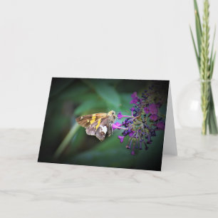 Butterfly, card