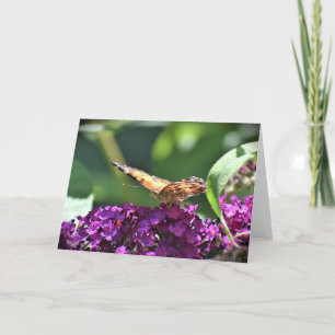 Butterfly, card