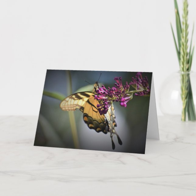 Butterfly, card (Front)