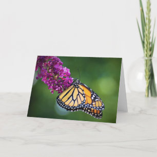 Butterfly, card