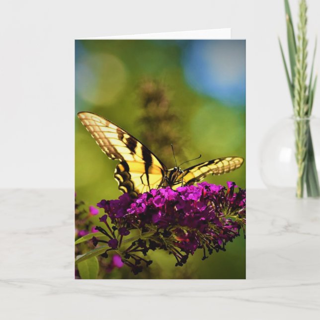 Butterfly, card (Front)