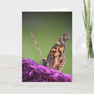 Butterfly, card