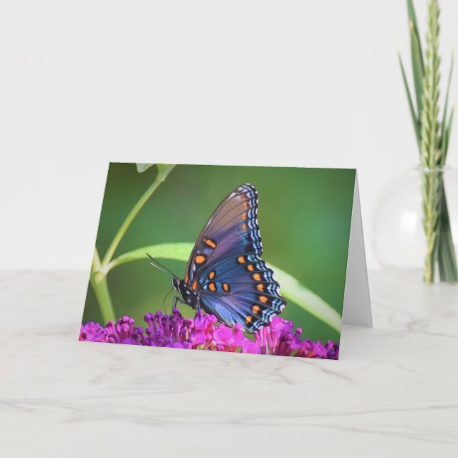 Butterfly, card (Front)