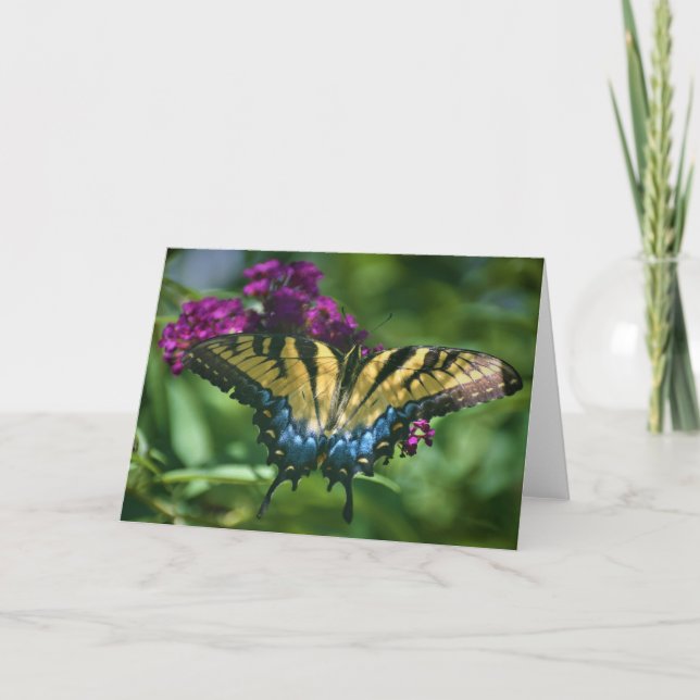 Butterfly, card (Front)