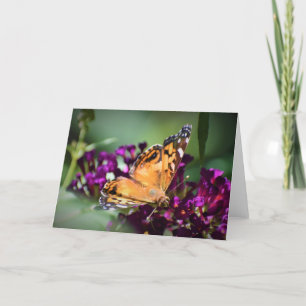 Butterfly, card