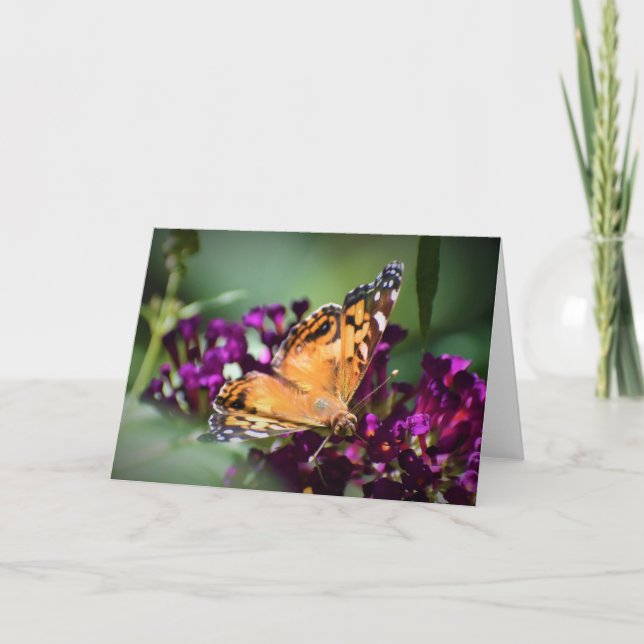 Butterfly, card (Front)