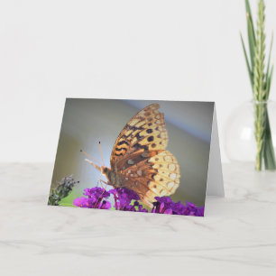Butterfly, card