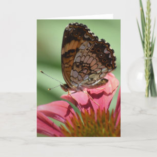 Butterfly, card