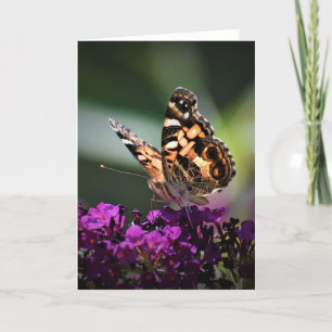 Butterfly, card