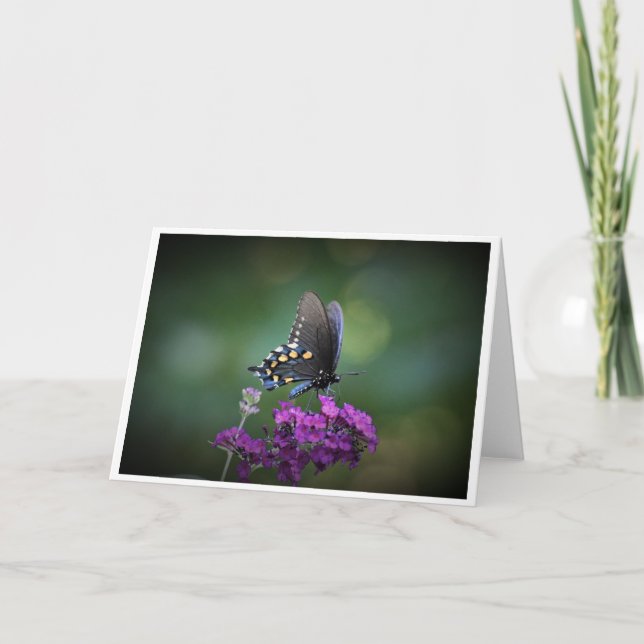 Butterfly, card (Front)